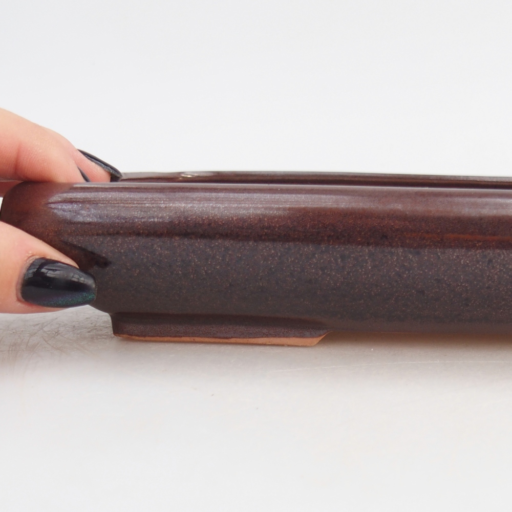 Cuenco bonsái de cerámica 24 x 17,5 x 4 cm, marrón