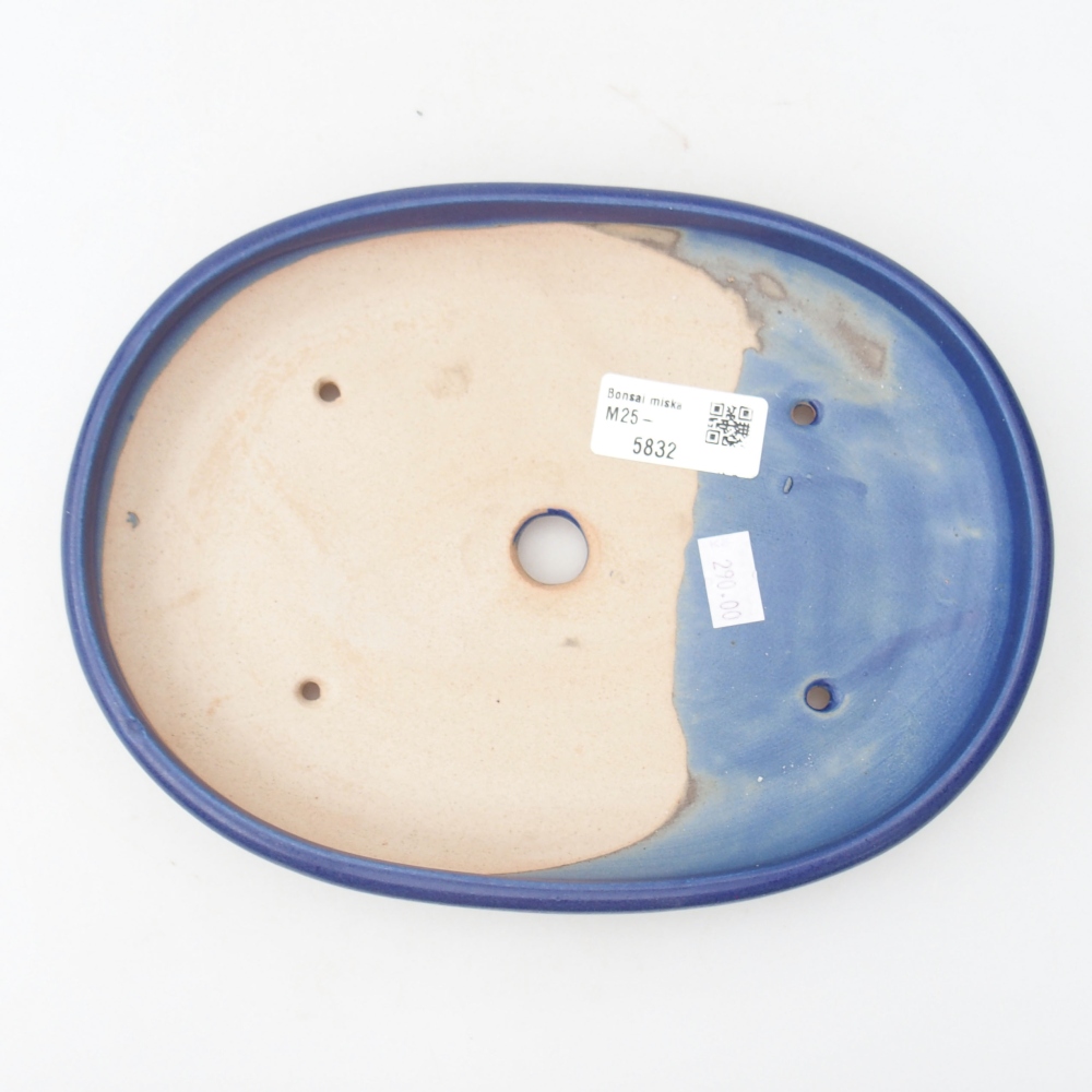 Cuenco bonsái de cerámica 22 x 17 x 5 cm, verde