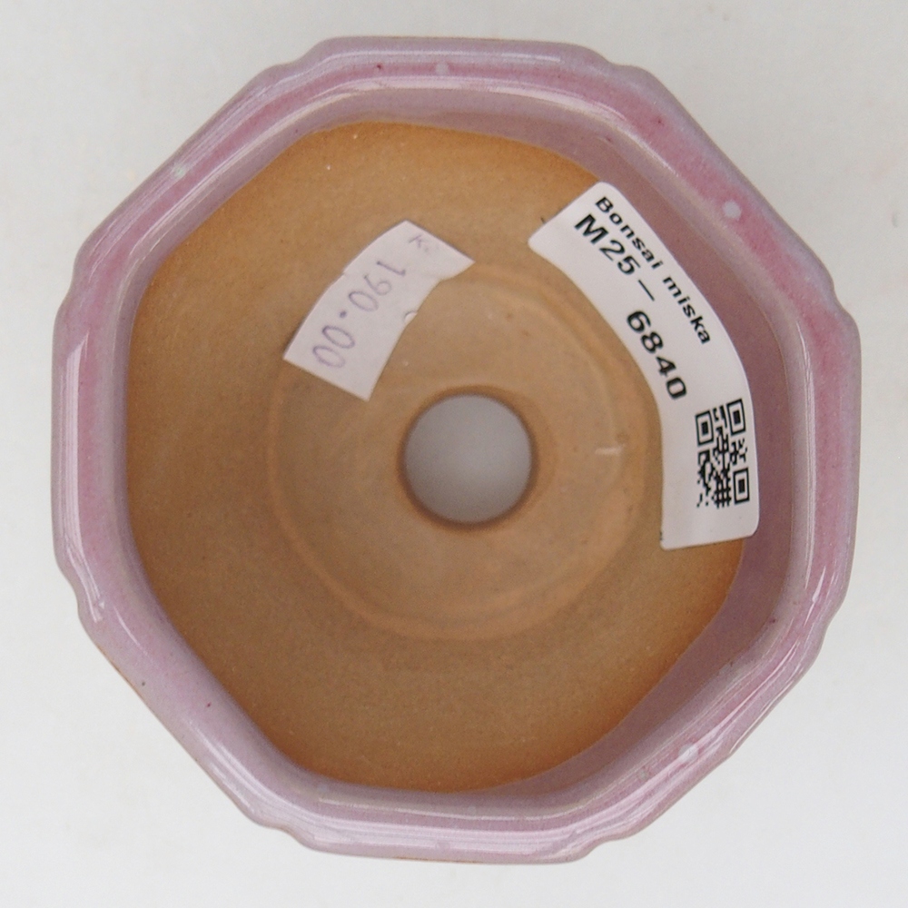 Cuenco bonsái de cerámica 7,5 x 7,5 x 6 cm, rosa