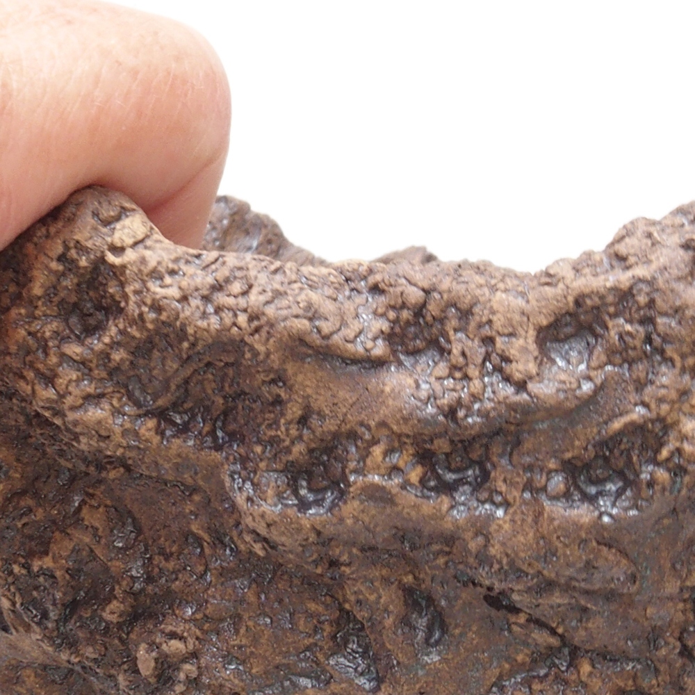 Concha de cerámica 17,5 x 16 x 17,5 cm , color marrón