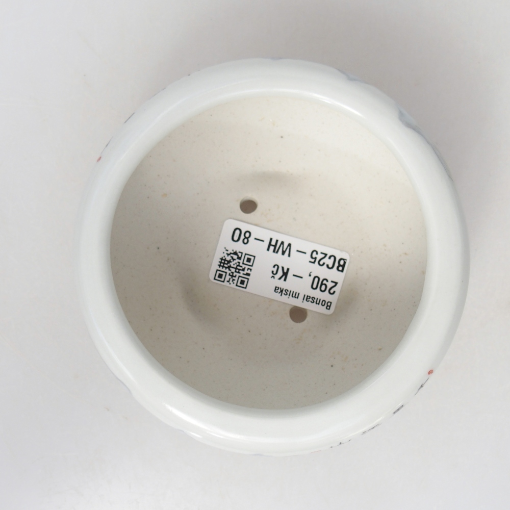 Cuenco bonsái de cerámica 10 x 10 x 5 cm, color blanco