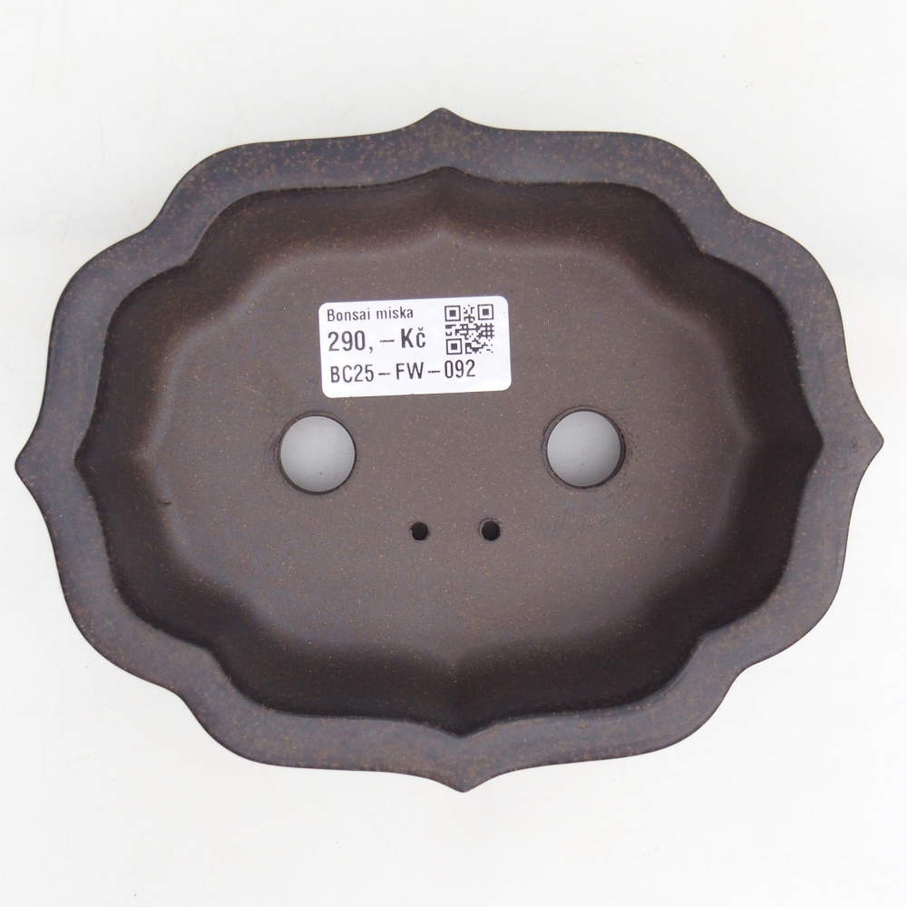 Cuenco bonsái de cerámica 16,5 x 13 x 4 cm, color ocre parduzco