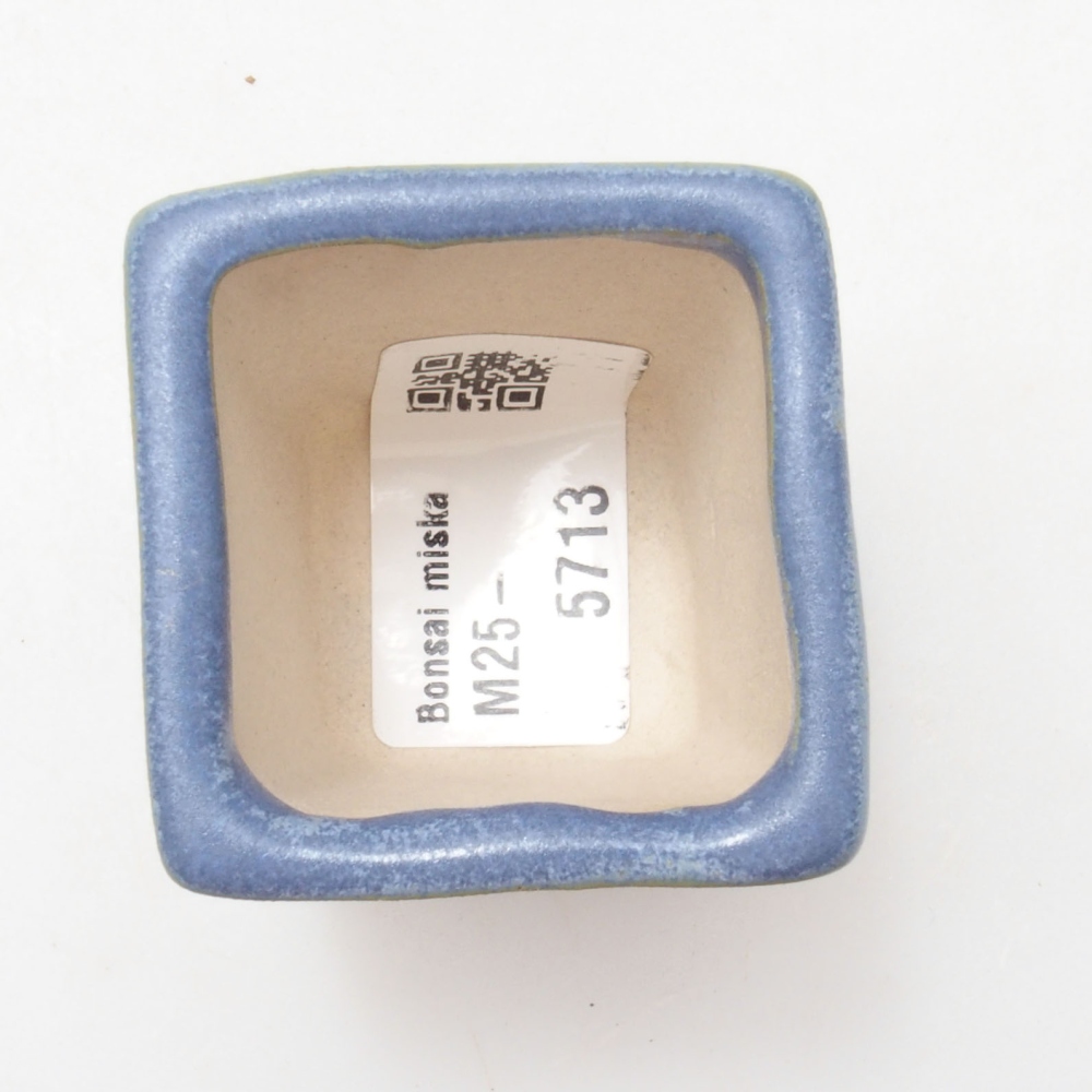 Cuenco mini bonsái 4 x 4 x 4,5 cm, color azul