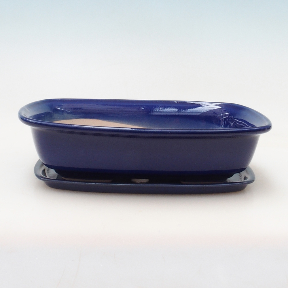 Cuenco bonsái + platillo H07 - 30 x 23 x 7,5 cm - azul