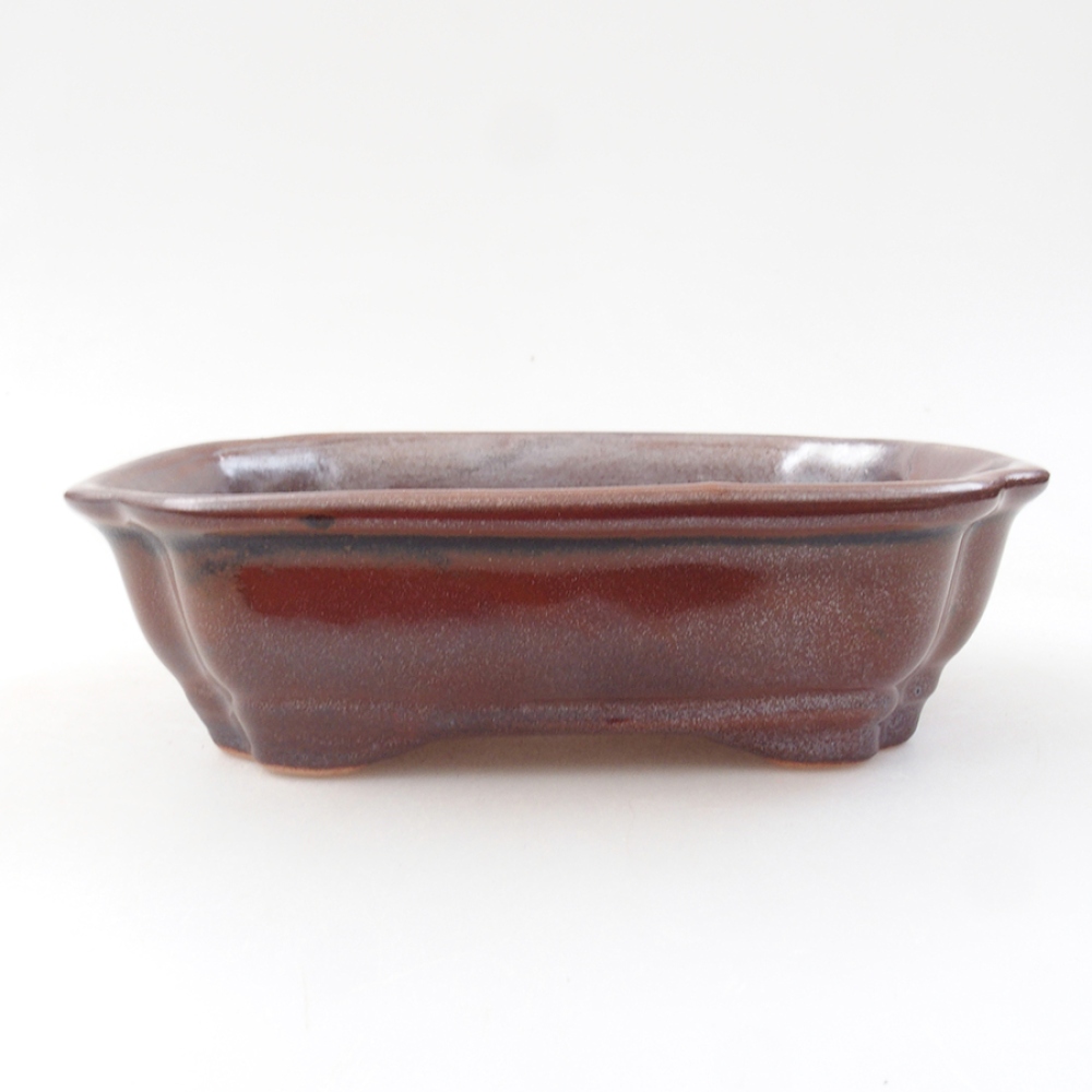 Cuenco bonsái de cerámica 16 x 12 x 5 cm, marrón