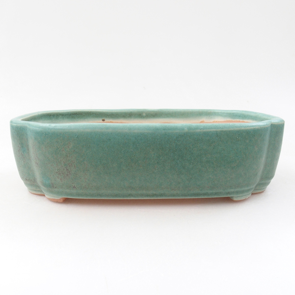 Cuenco bonsái de cerámica 18 x 13 x 5 cm, verde