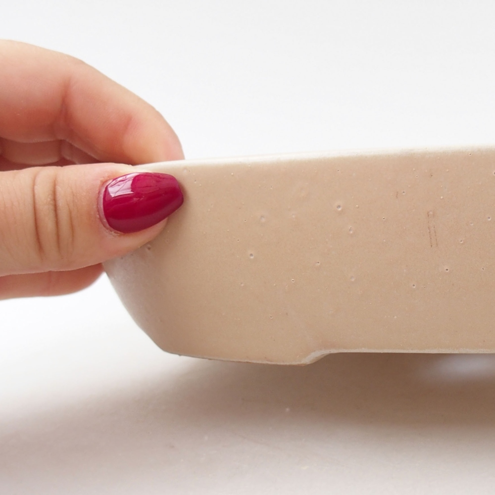 Cuenco bonsái de cerámica 22 x 17 x 4 cm, color beige