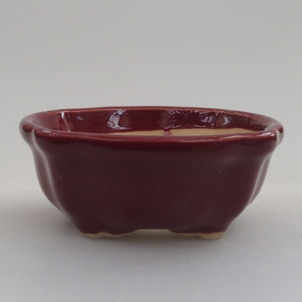 Cuenco mini bonsái 6 x 6 x 2,5 cm, burdeos