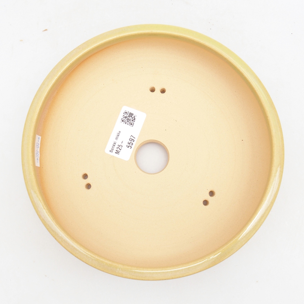 Cuenco bonsái de cerámica 18 x 18 x 5 cm, verde