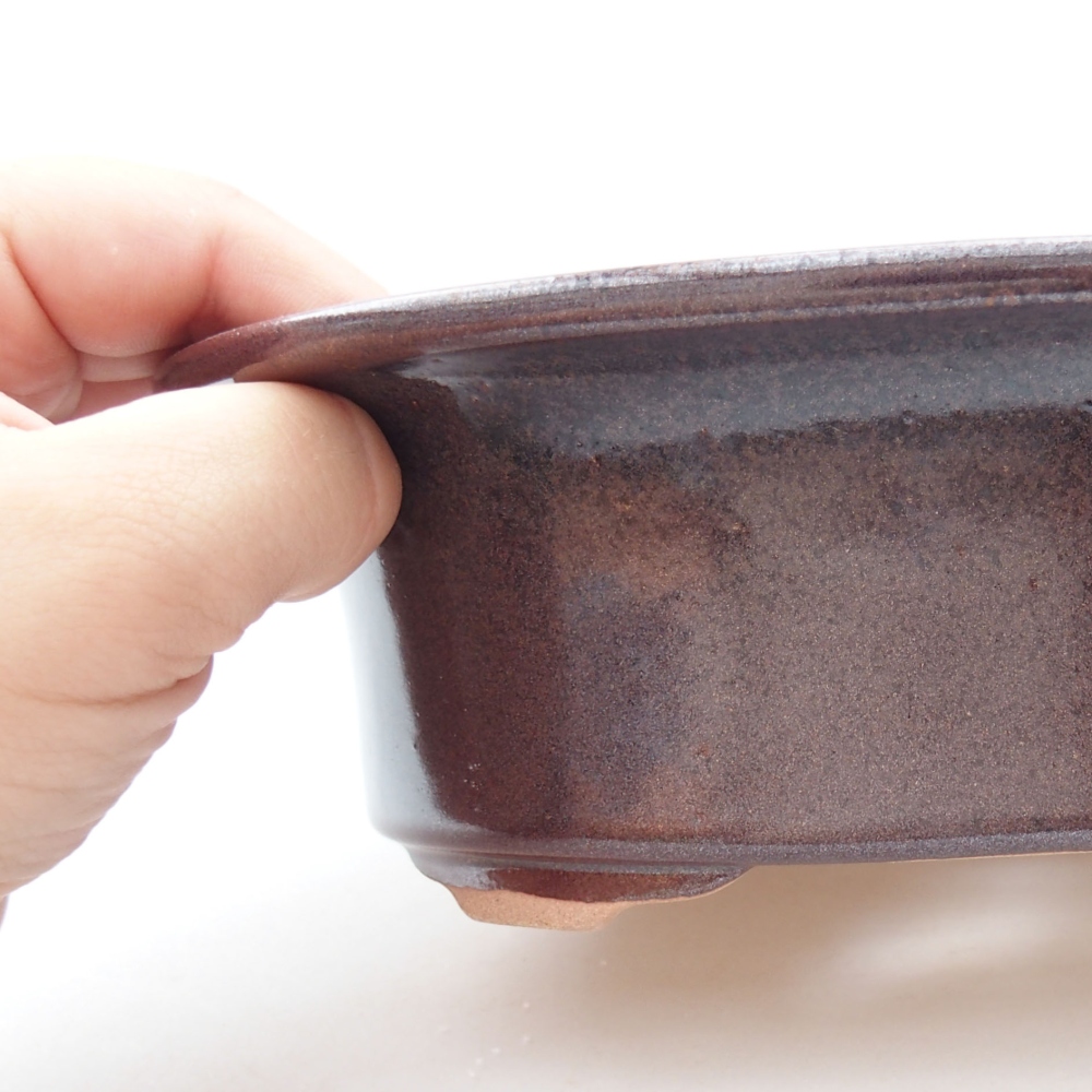 Cuenco bonsái de cerámica 22 x 17 x 5 cm, verde