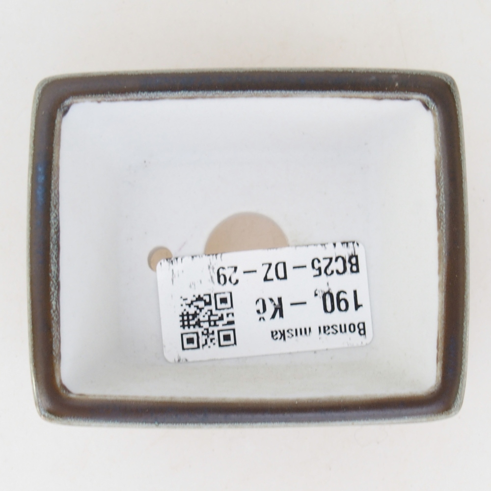 Cuenco mini bonsái 7,5 x 6 x 3 cm, verde