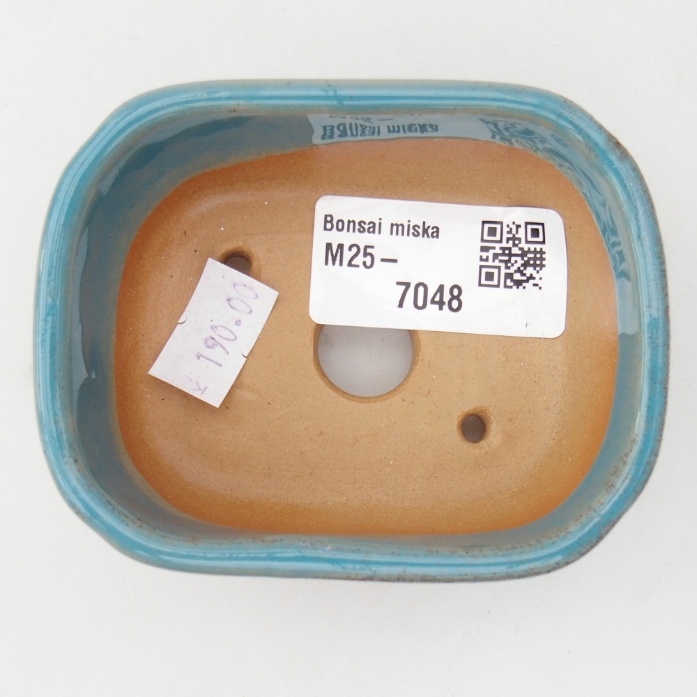 Cuenco bonsái de cerámica 8,5 x 7 x 3,5 cm, color azul