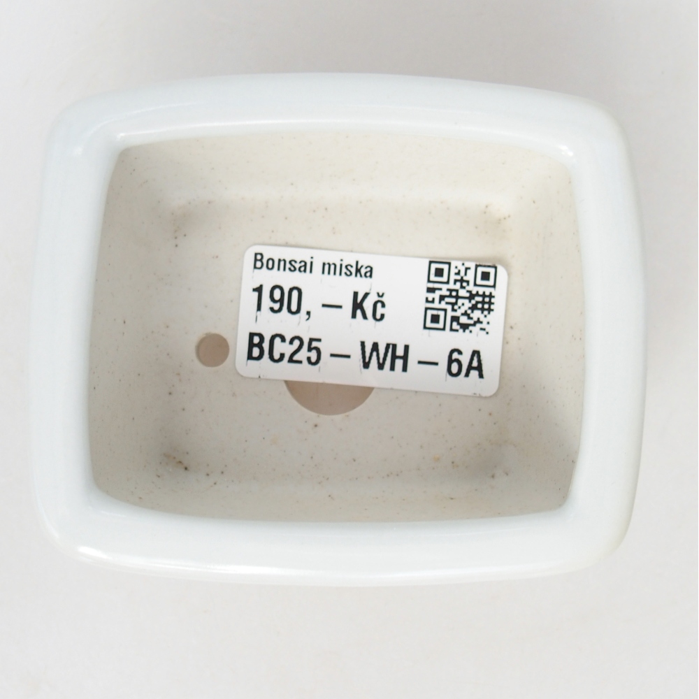 Cuenco mini bonsái 8 x 6,5 x 3,5 cm, blanco