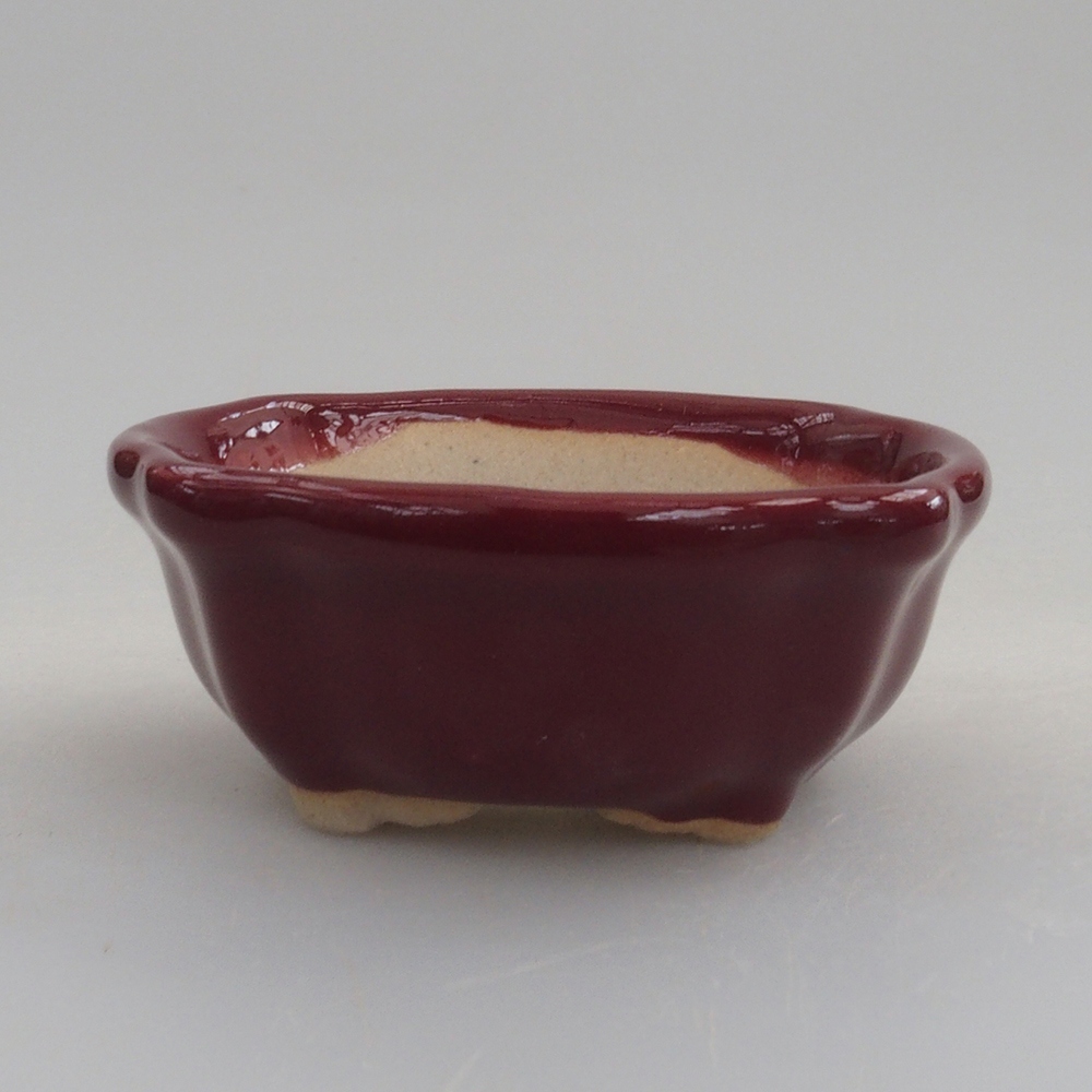 Cuenco mini bonsái 6 x 6 x 2,5 cm, burdeos