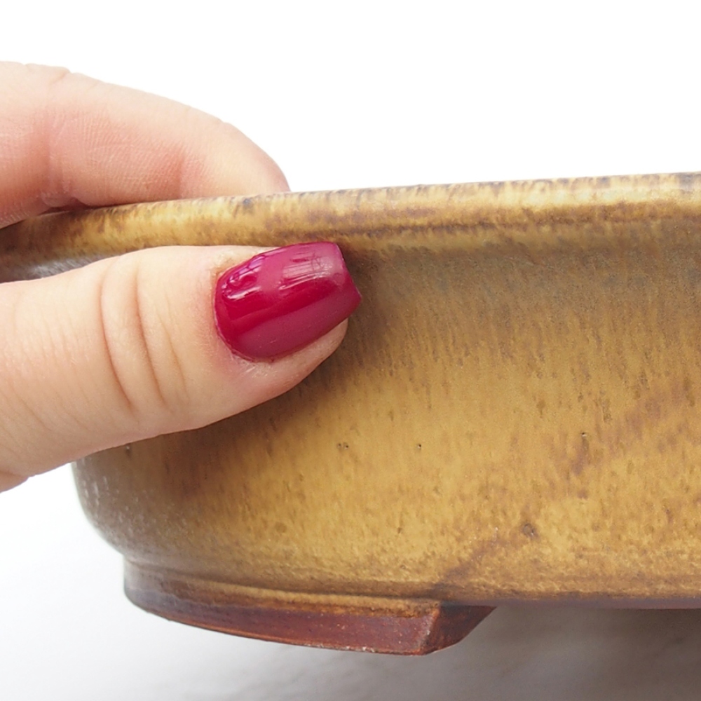 Cuenco bonsái de cerámica 26,5 x 24 x 5,5 cm, verde