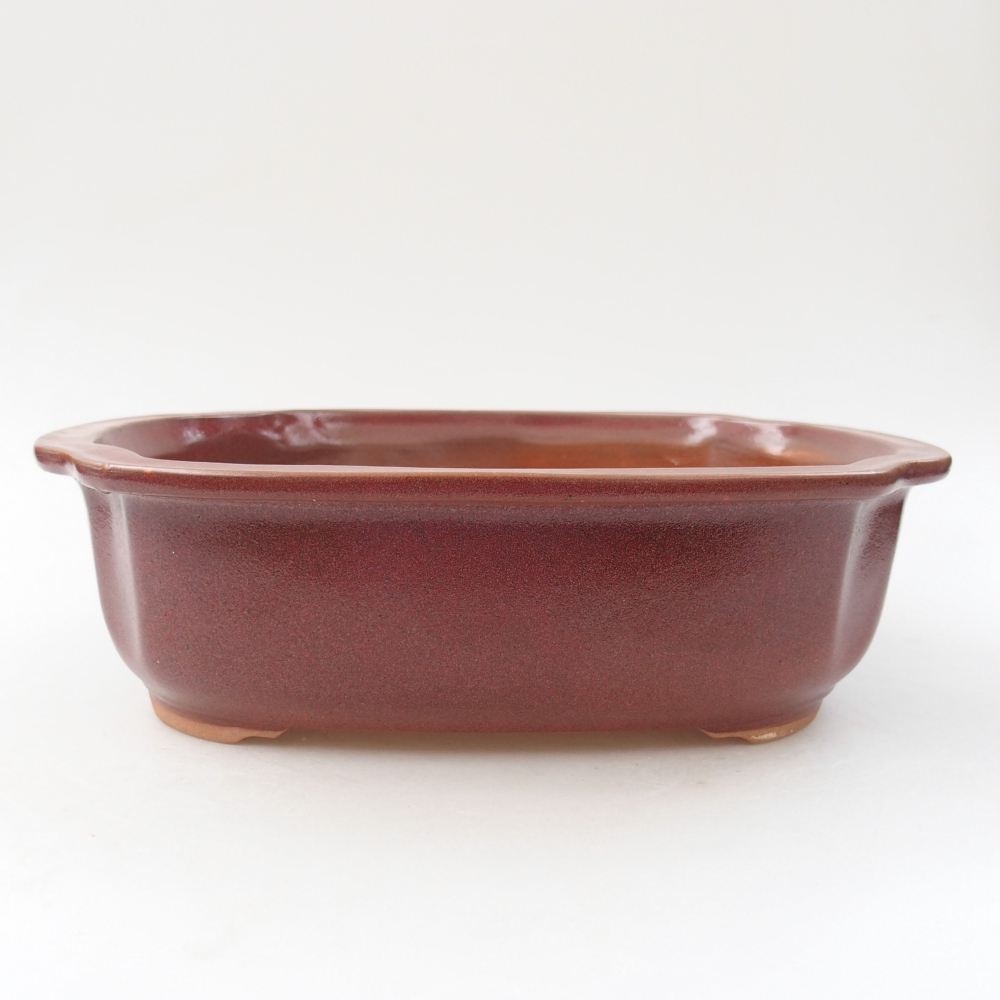 Cuenco bonsái de cerámica 24,5 x 21 x 7 cm, color burdeos