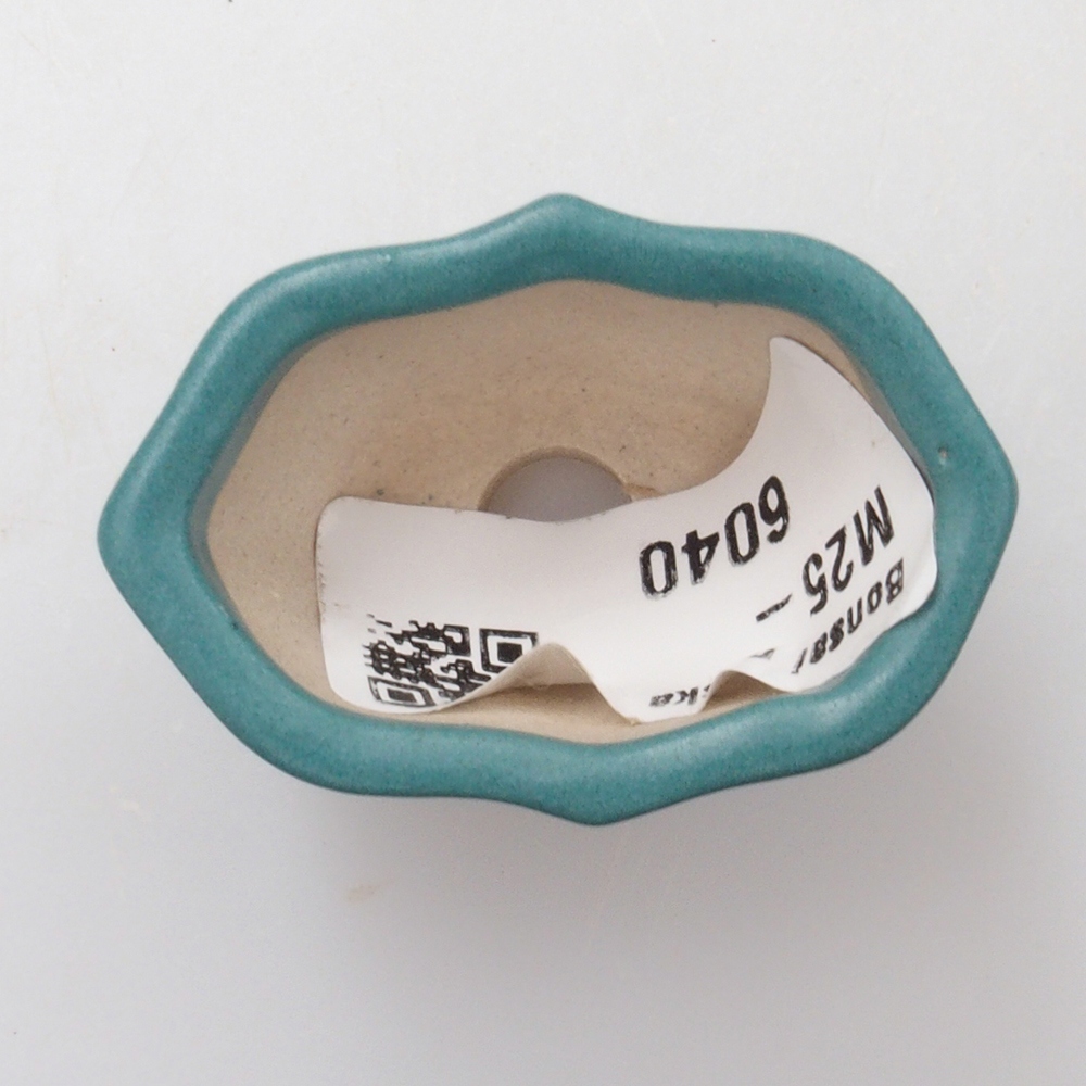 Cuenco bonsái de cerámica 6,5 x 5,5 x 4 cm, color azul