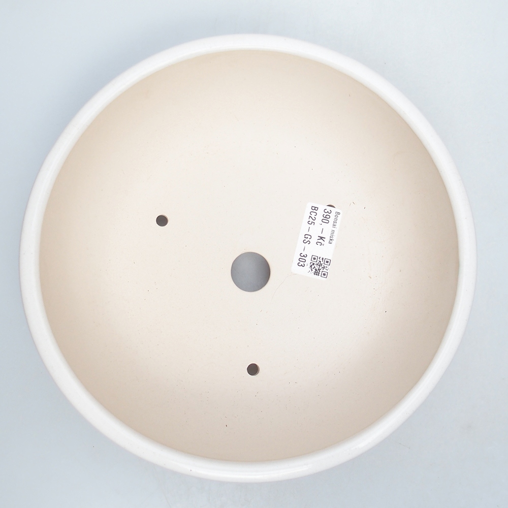 Bol 21 x 21 x 8,5 cm blanco