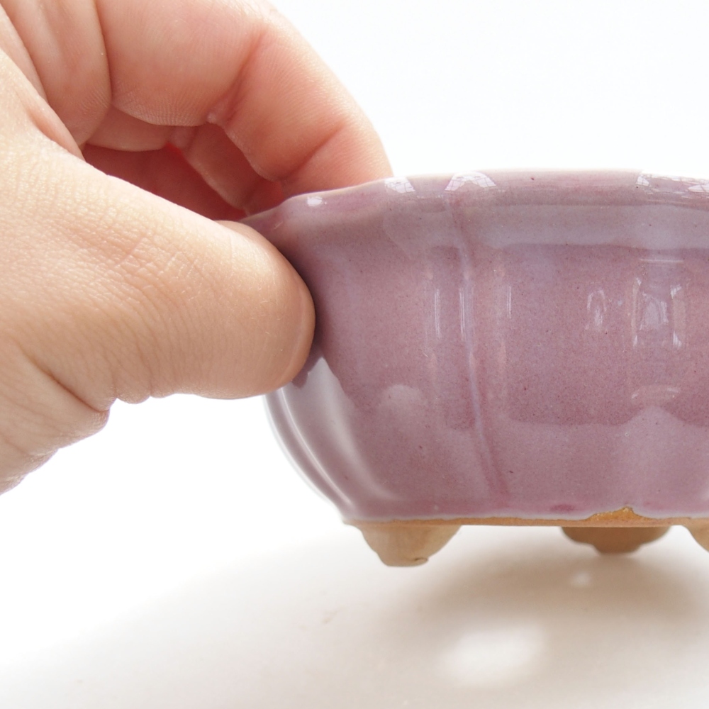 Cuenco bonsái de cerámica 22 x 17 x 5 cm, verde