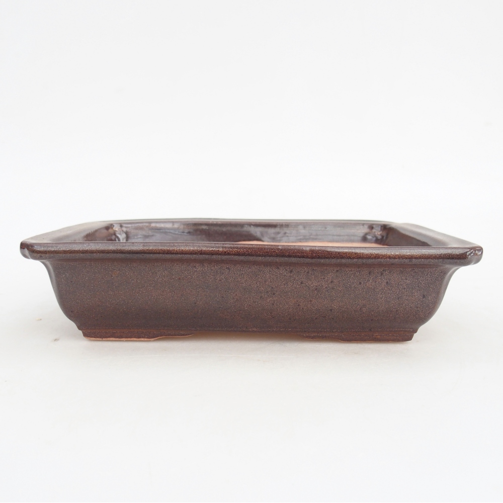 Cuenco bonsái de cerámica 18 x 13,5 x 4,5 cm, marrón