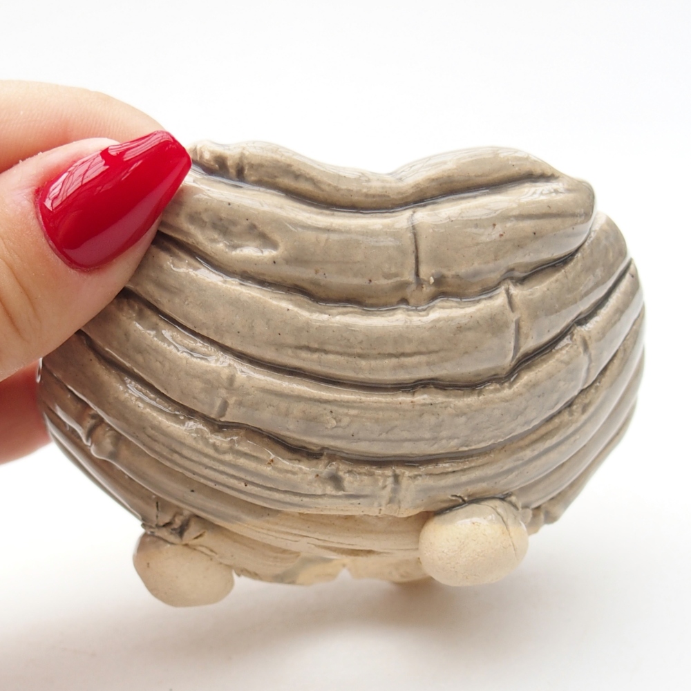 Concha de cerámica 8,5 x 8,5 x 6 cm , color beige