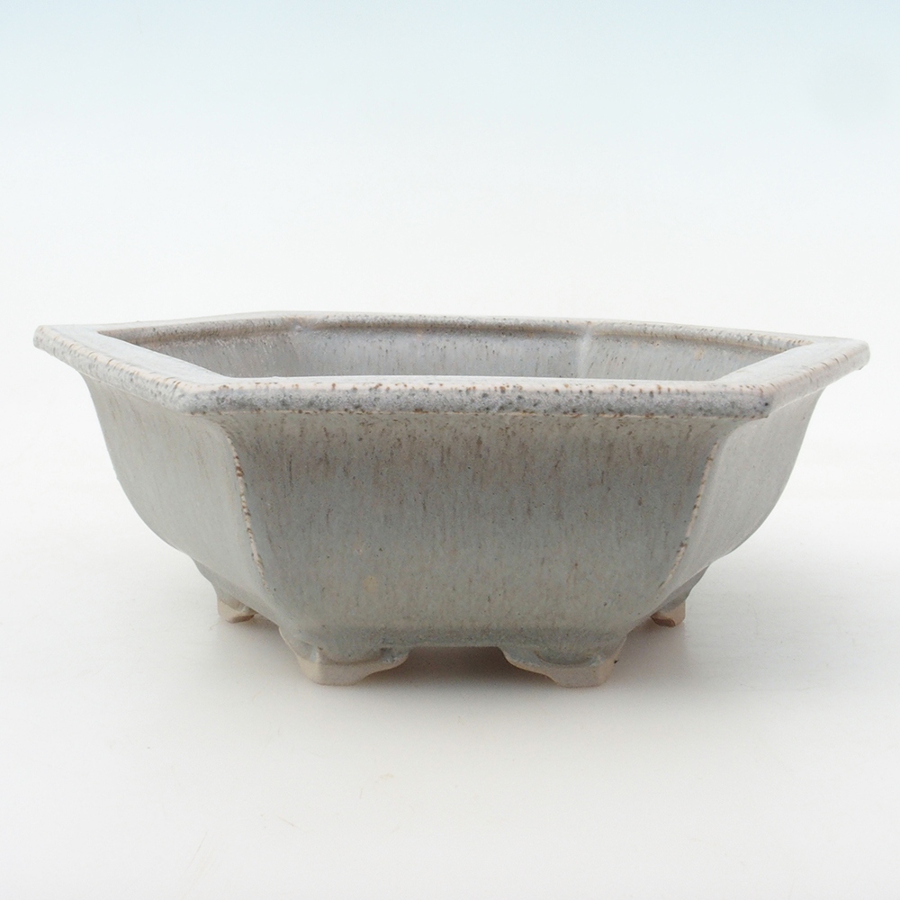 Cuenco bonsái H53 - 19 x 21,5 x 7 cm - beige