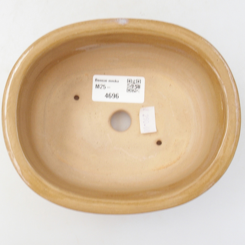 Cuenco bonsái de cerámica 15,5 x 12 x 5,5 cm, color beige
