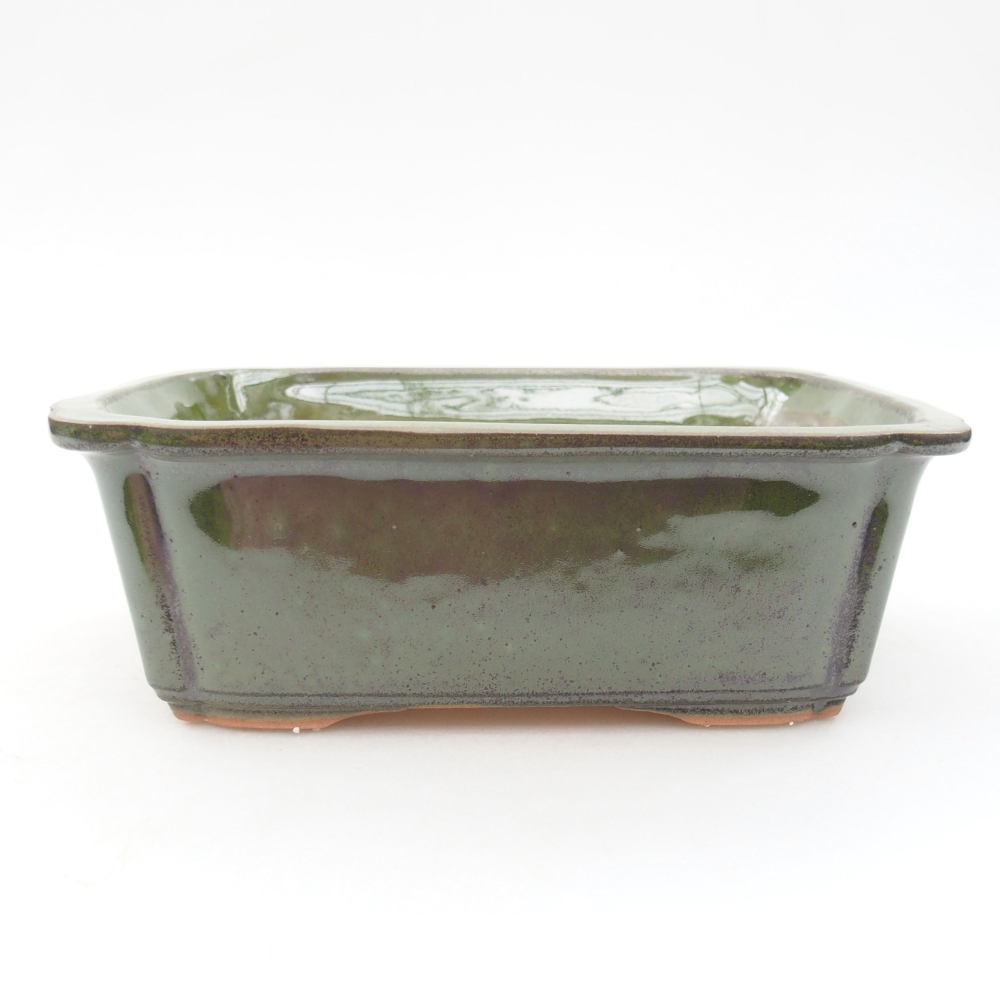 Cuenco bonsái de cerámica 17,5 x 12,5 x 6 cm, verde