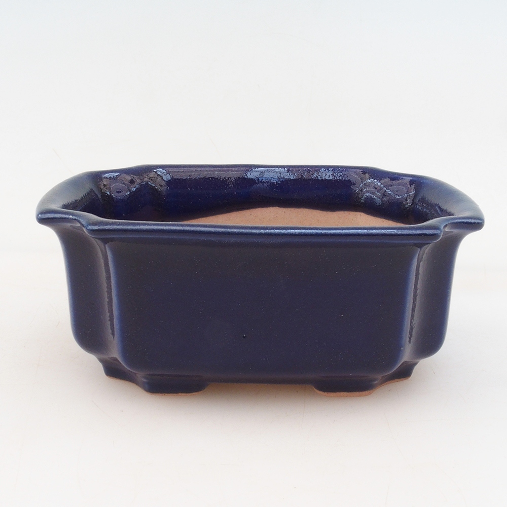 Cuenco bonsái H01 - 12 x 9 x 5 cm - azul