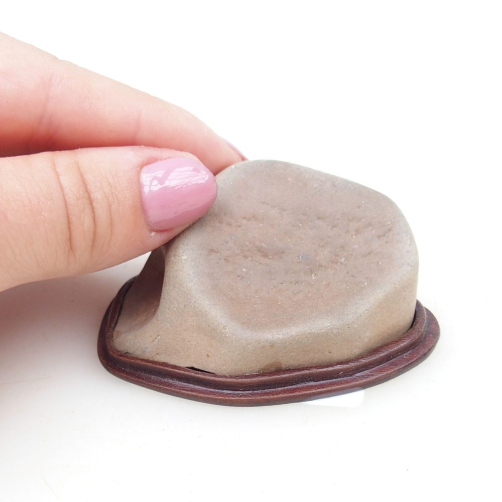 Suiseki - Piedra con DAI (base de madera)