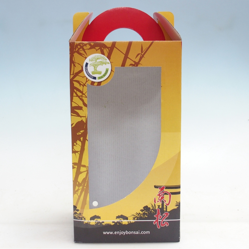 Caja regalo bonsái - papel