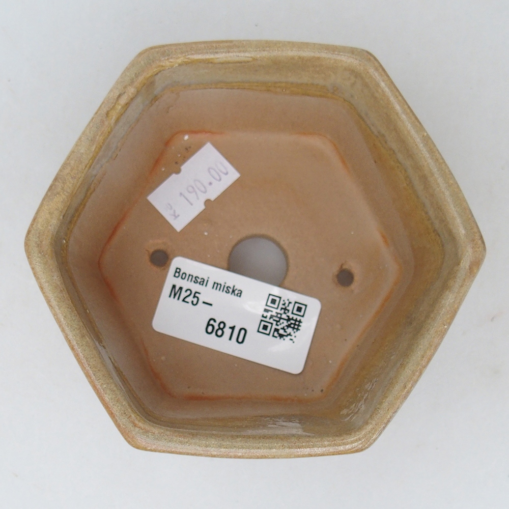 Cuenco bonsái de cerámica 10,5 x 9,5 x 5 cm, color beige