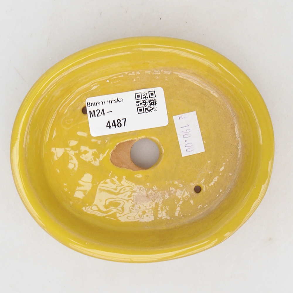 Cuenco bonsái de cerámica 13 x 11 x 2,5 cm, amarillo