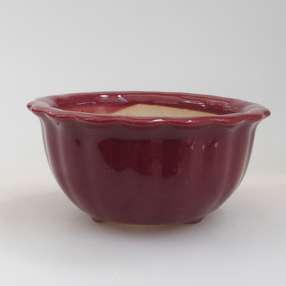 Cuenco mini bonsái 6,5 x 6,5 x 3,5 cm, burdeos