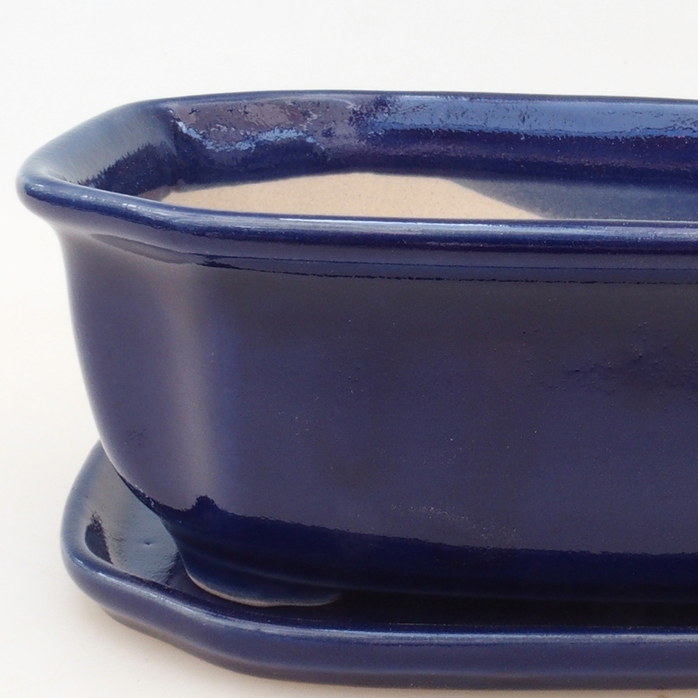 Bonsai cuenco + platillo H31 - azul