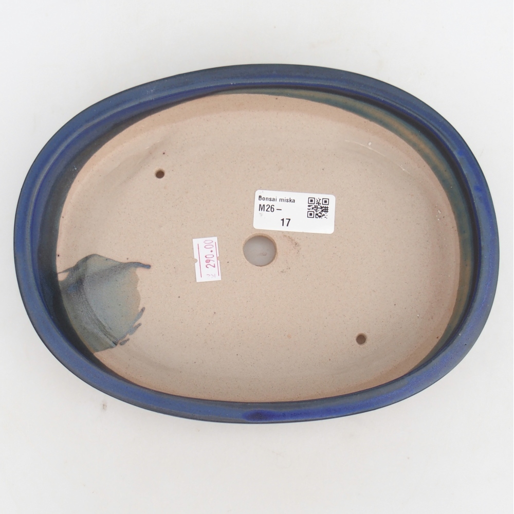 Cuenco bonsái de cerámica 22,5 x 17 x 4,5 cm, color azul
