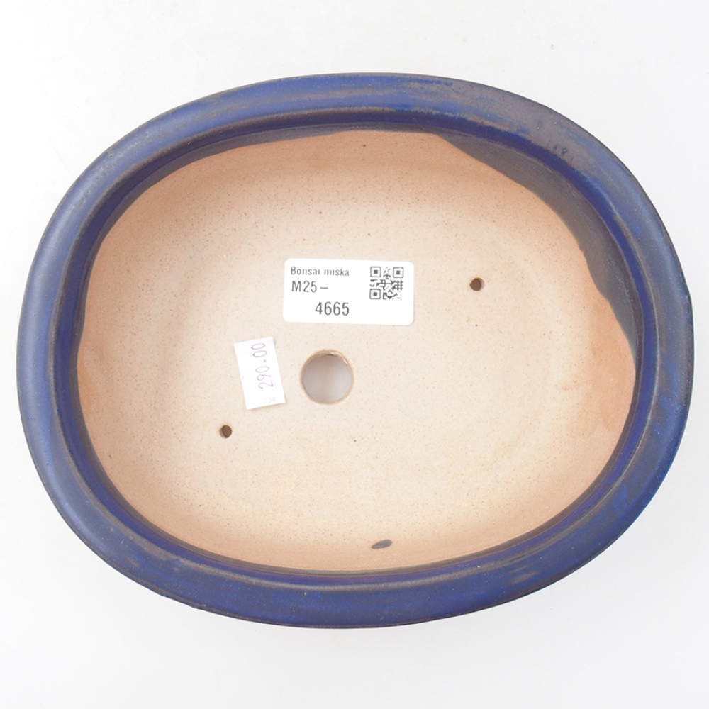 Cuenco bonsái de cerámica 18 x 14,5 x 6 cm, color azul