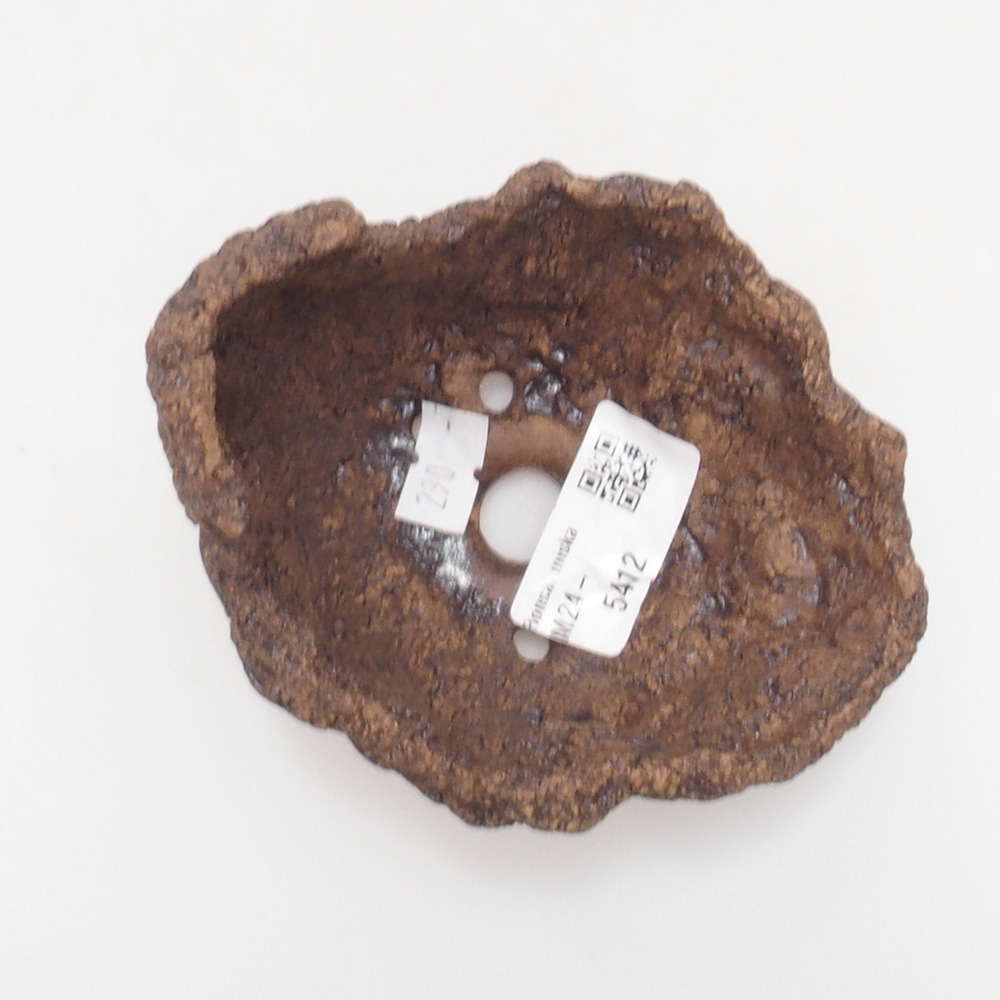 Concha de cerámica 9 x 8 x 8,5 cm , color marrón