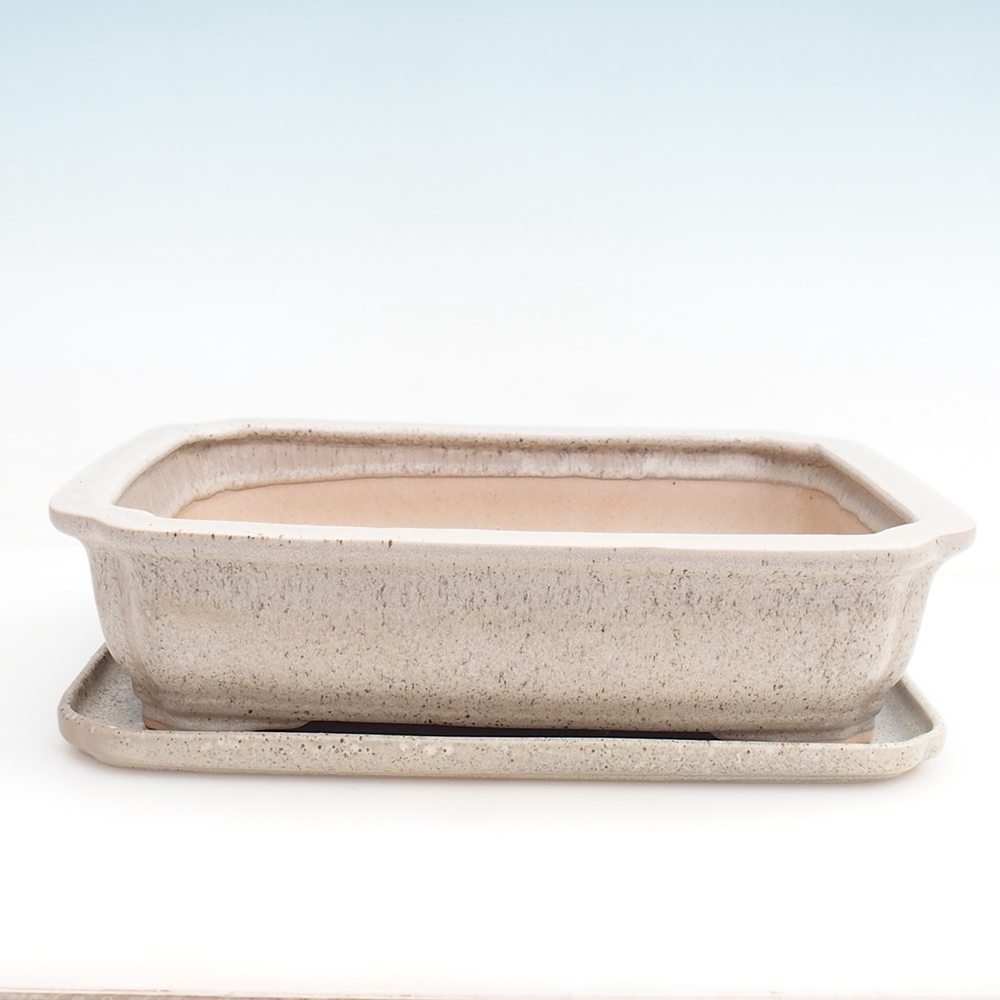 Cuenco bonsái + platillo H07 - 30 x 20,5 x 8 cm.