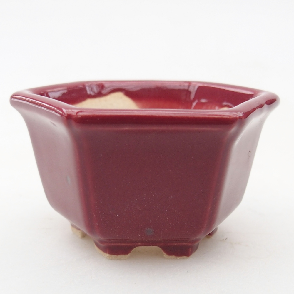 Mini cuenco bonsái 5 x 4,5 x 3 cm, burdeos