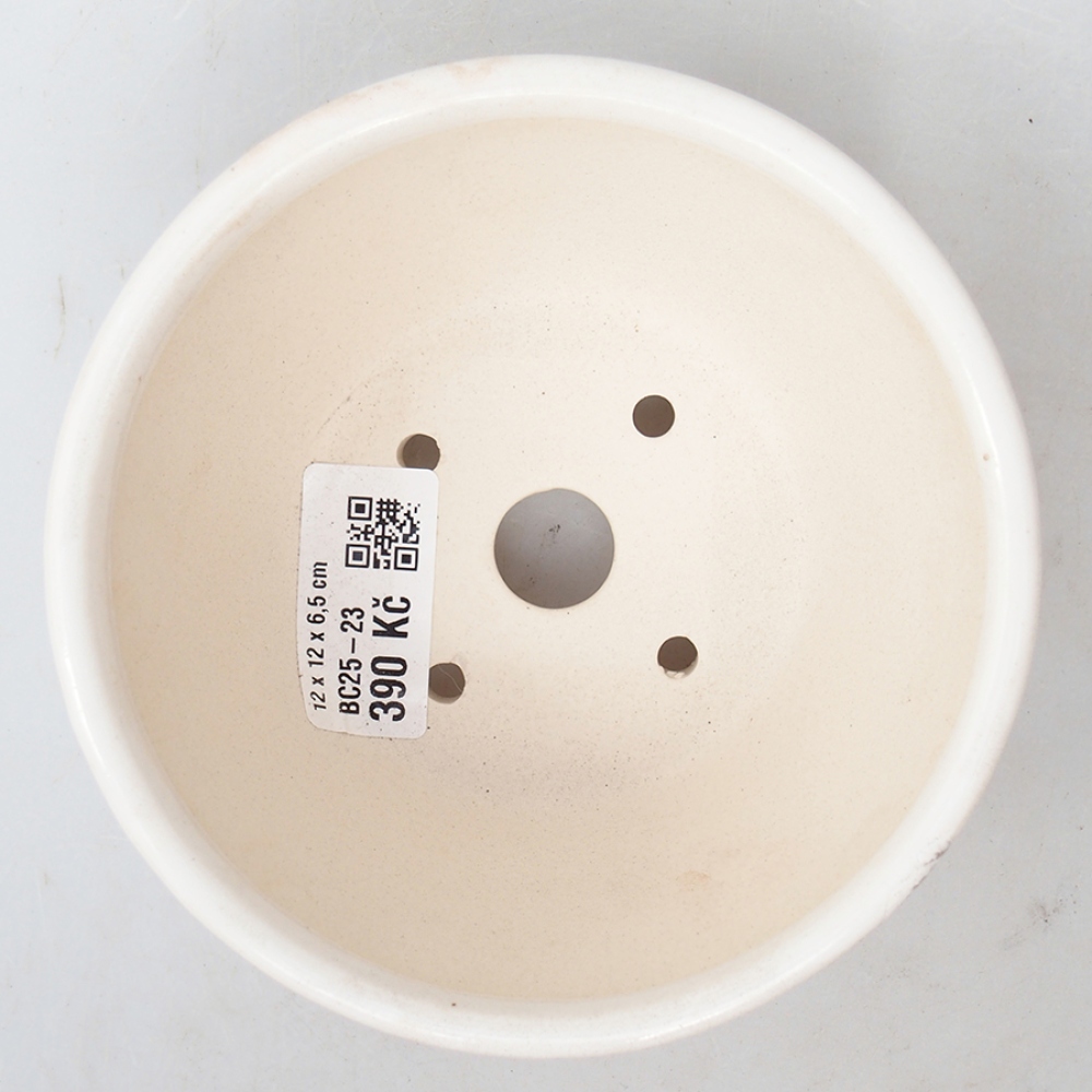 Cuenco bonsái de cerámica 12 x 12 x 6,5 cm, color blanco