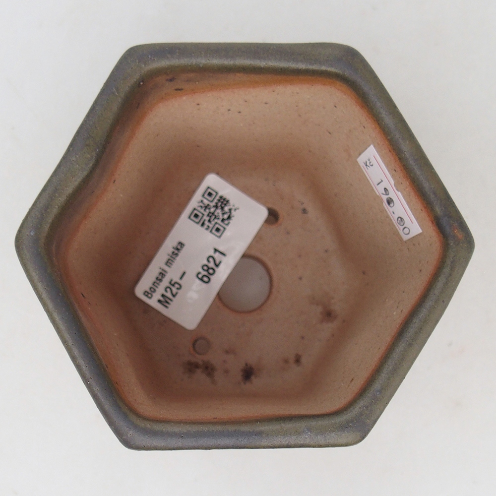 Cuenco bonsái de cerámica 9,5 x 8,5 x 8 cm, verde