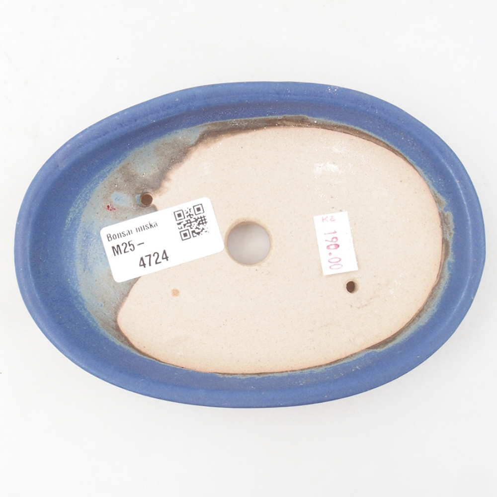 Cuenco bonsái de cerámica 15,5 x 11 x 3 cm, color azul
