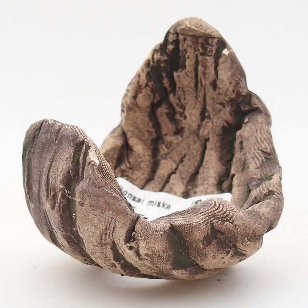 Concha de cerámica 6,5 x 6,5 x 8 cm , color verde