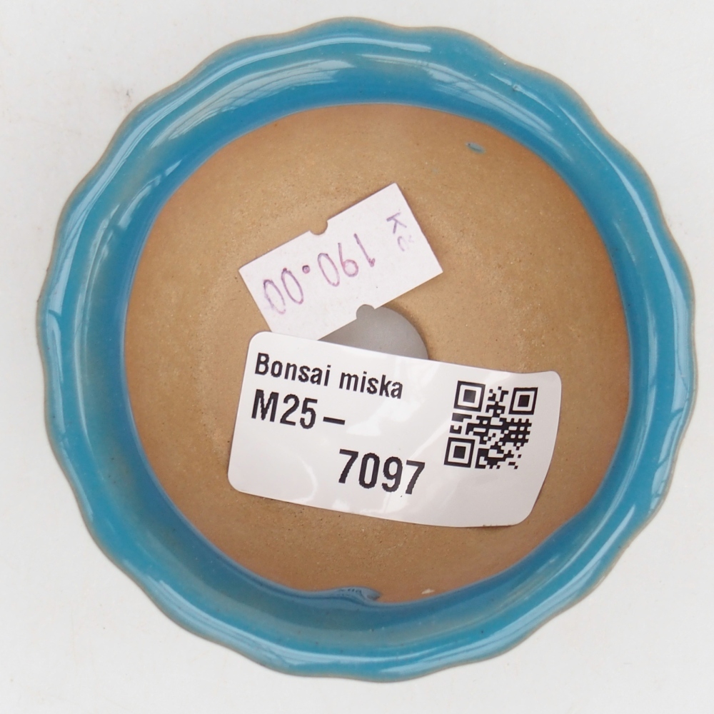 Cuenco bonsái de cerámica 7 x 8,5 x 3,5 cm, color azul