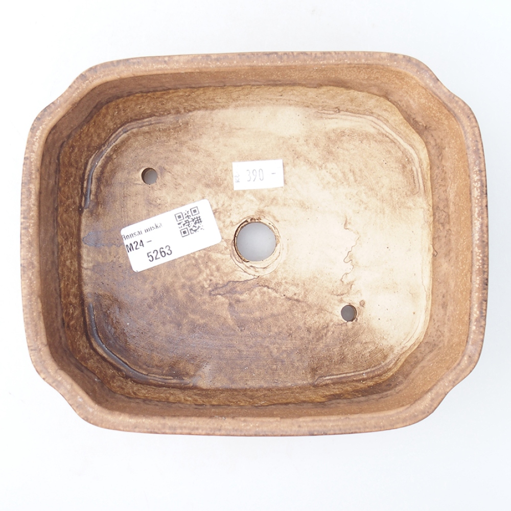 Cuenco bonsái de cerámica 17,5 x 14 x 4,5 cm, color diferente