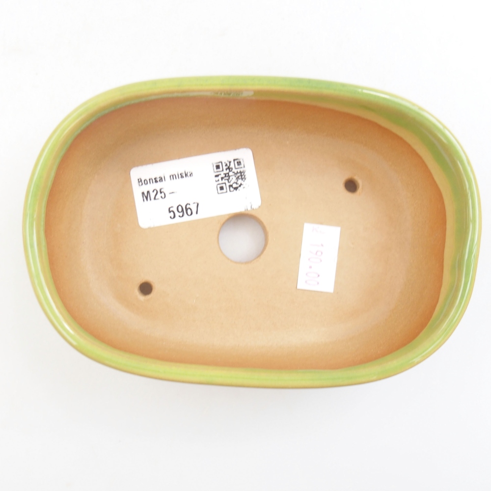 Cuenco bonsái de cerámica 22 x 17 x 5 cm, verde