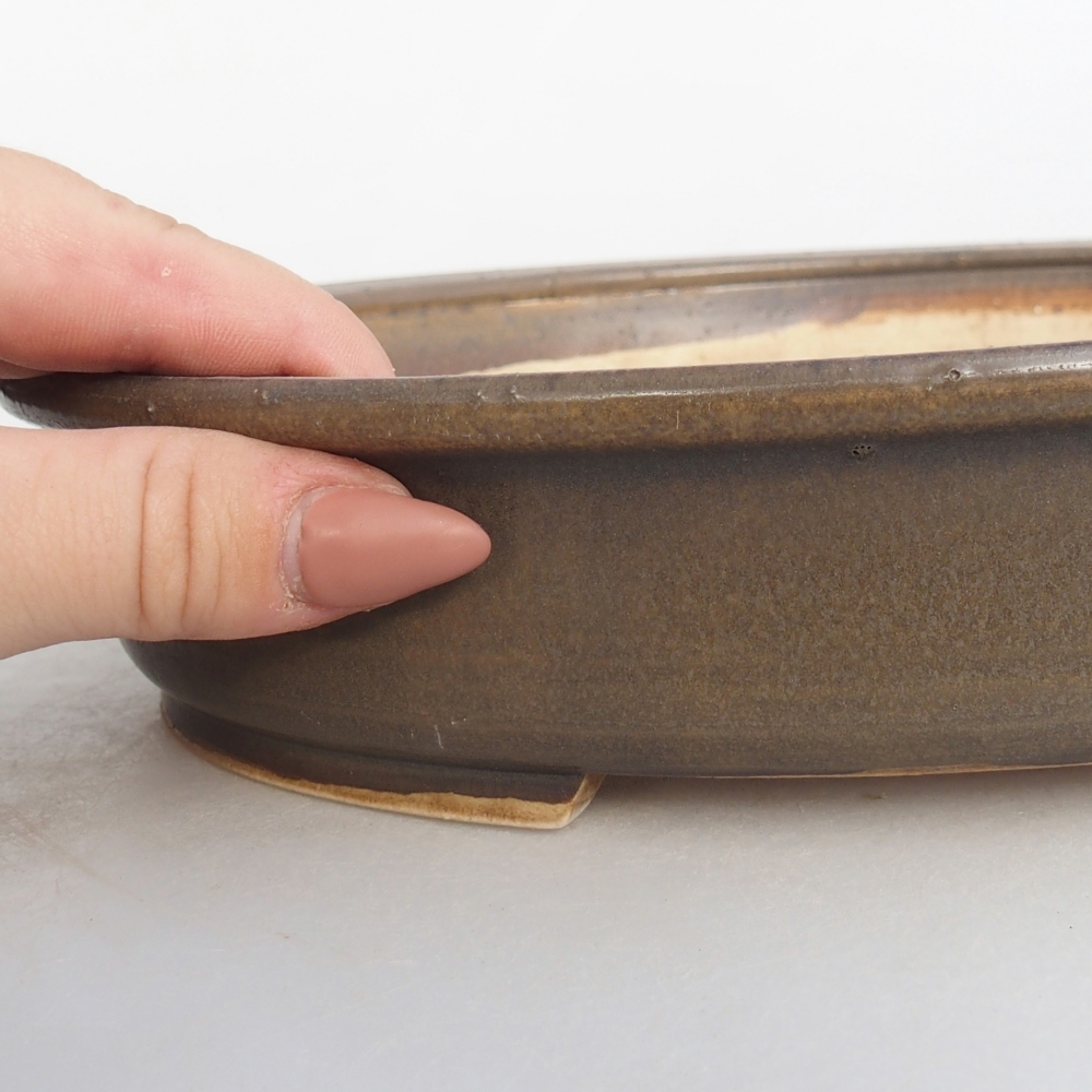 Cuenco bonsái de cerámica 24 x 20,5 x 5 cm, marrón