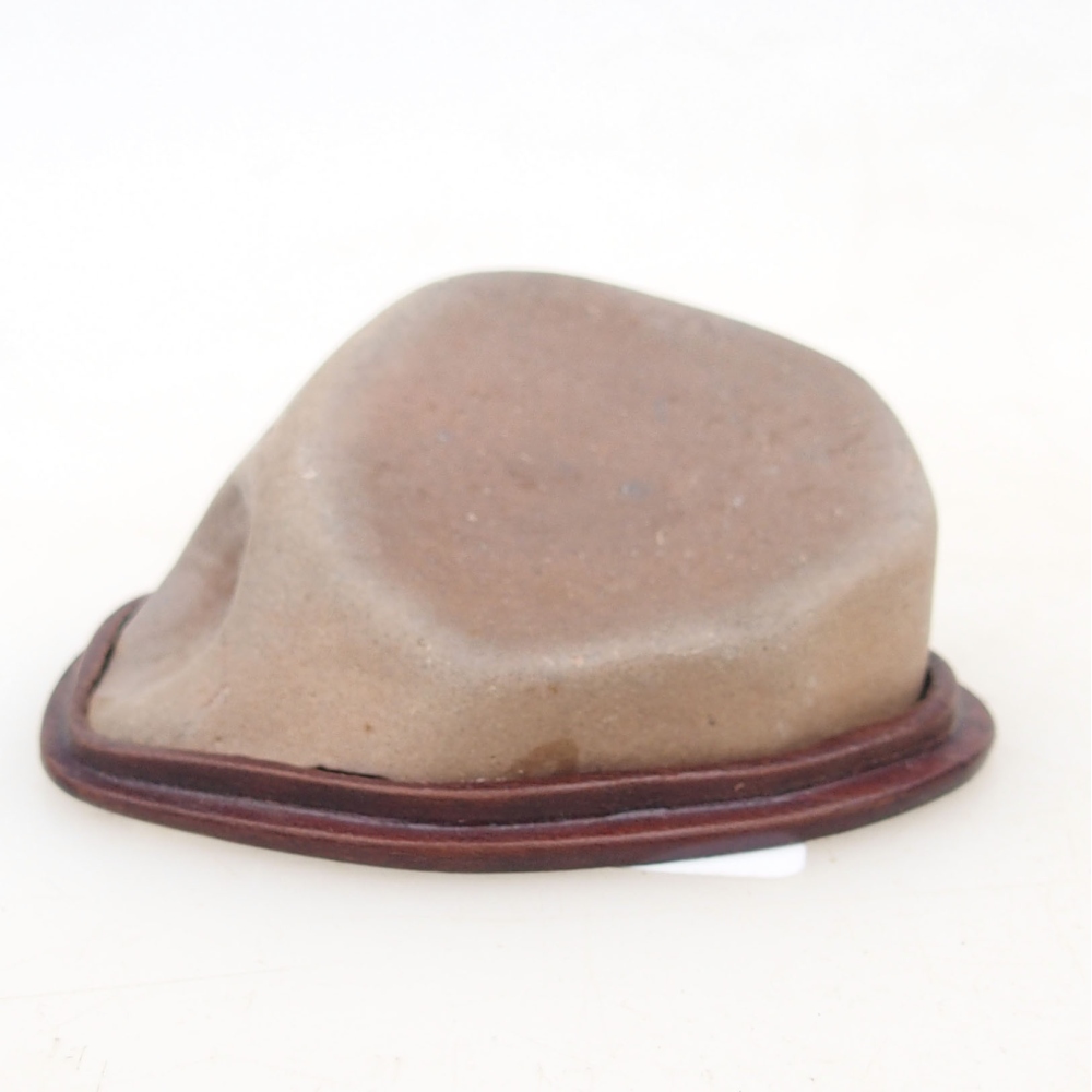 Suiseki - Piedra con DAI (base de madera)