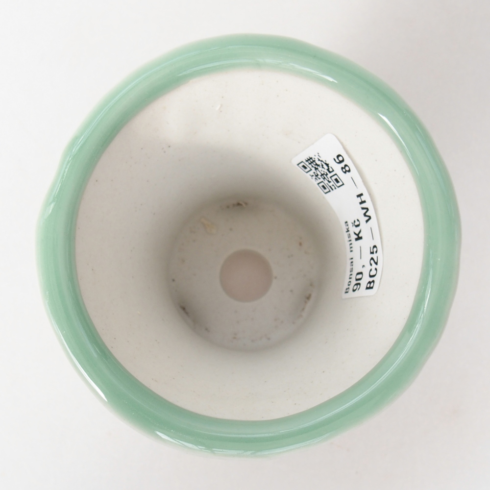 Cuenco bonsái de cerámica 9 x 9 x 8 cm, verde